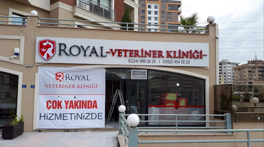 Royal Veteriner - Pleksi Kutu Harf Tabela